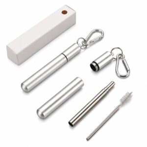SMPZY009 Telescoping Stainless Steel Straw w/ Cleaning Brush